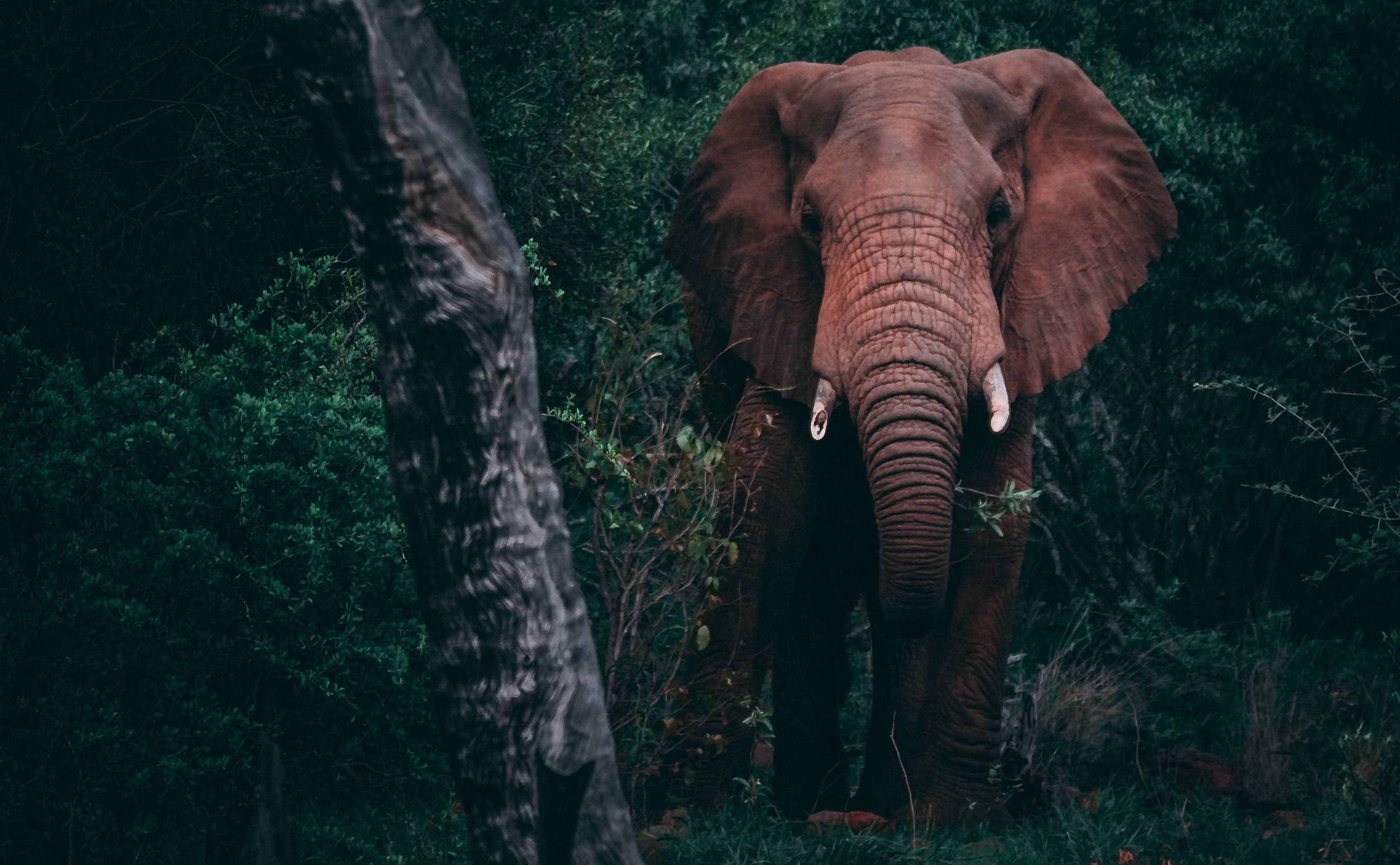 PHP - the king is dead, long live the king!